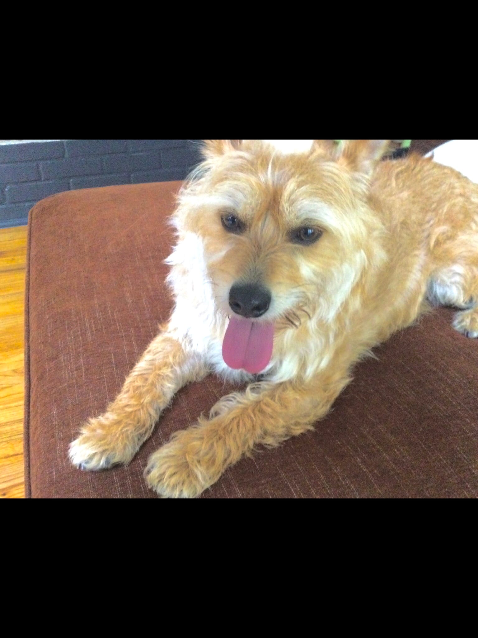 Murray is my dog!!!