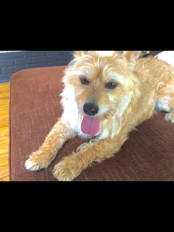 Murray is my dog!!!